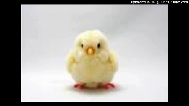 トップ・オブ・ザ・ワールド/Top Of The World/カーペンターズ/Carpenters/ピアノ 高橋丈太郎