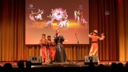 Yunus Emre Enstitüsü'nden Almanya'da Nevruz Programı