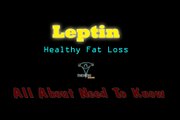 Leptin là gì và ảnh hưởng thế nào đến giảm mỡ giảm cân - Cách kiểm soát tốt Leptin