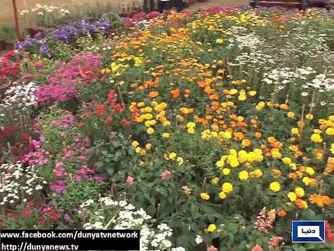 Dunya News - Lahore: Flowers exhibition held at Jillani Park