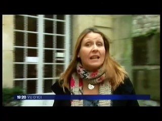 Gustave Flaubert en Egypte reportage de l'exposition par FR3