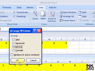 Lesson # 86 The New Window (Microsoft Office Excel 2007_ 2010 Tutorial)