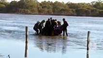 Dolphins rescued from lake in Australia