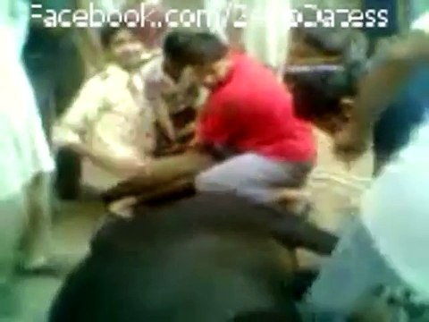 Cow Qurbani Eid ul Adha (Azha) 2014 Must Watch!!