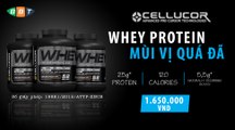 Whey protein 2 - Đối tượng, Cách dùng, thời điểm, liều lượng tối ưu để cơ thể hấp thu tốt