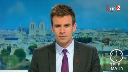 Crash de l'A320 : le copilote souffrait d'une grave dépression