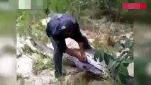 Man cuts open giant snake's belly and is stunned by what's inside
