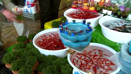 Irán Hoy - Nowruz en Irán