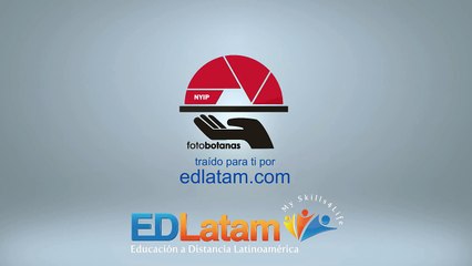 5 No Pierdas la Expresión Ni La Inocencia En Tus Fotos.