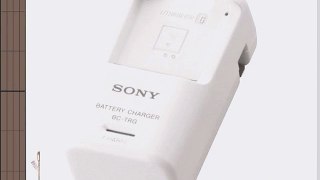Sony BCTRG Travel Charger for G-Series Battery