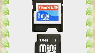 SanDisk 1GB miniSD Card (SDSDM-1024-A10M Retail Package)