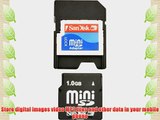 SanDisk 1GB miniSD Card (SDSDM-1024-A10M Retail Package)