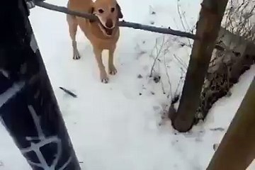 He just couldn't figure it out