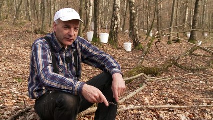 La recette de l’élixir de jouvence lorrain