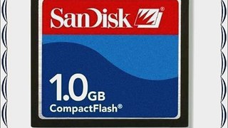 1GB Sandisk Compact Flash Memory Card (Bulk)