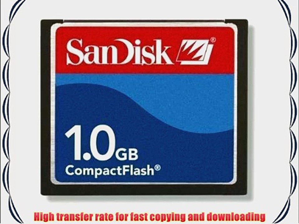 1GB Sandisk Compact Flash Memory Card (Bulk)