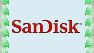 SanDisk 32 GB Extreme MicroSDHC