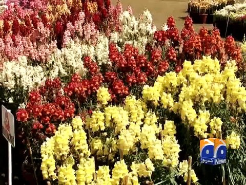 Flower Show in Jillani Park (Lahore) - Geo Reports - 27 Mar 2015