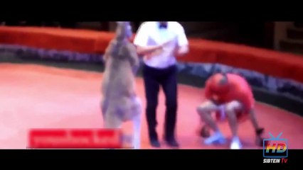 India vs Australia Aftermath of Worldcup Semi-final be Like 2015