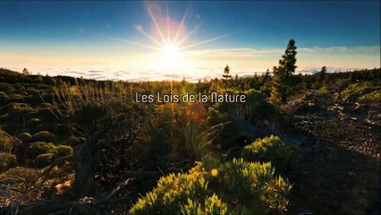 Philosophie pratique à Nouvelle Acropole Montréal