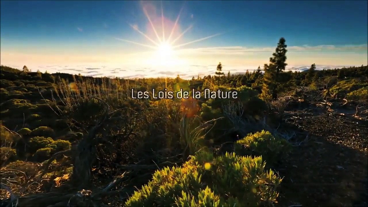 Philosophie pratique à Nouvelle Acropole Montréal