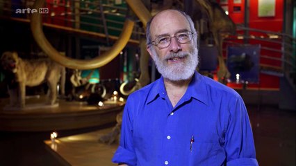 Comment cloner un mammouth laineux ? - Dok