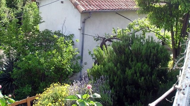 A vendre - Maison/villa - Nice (06100) - 7 pièces - 140m²