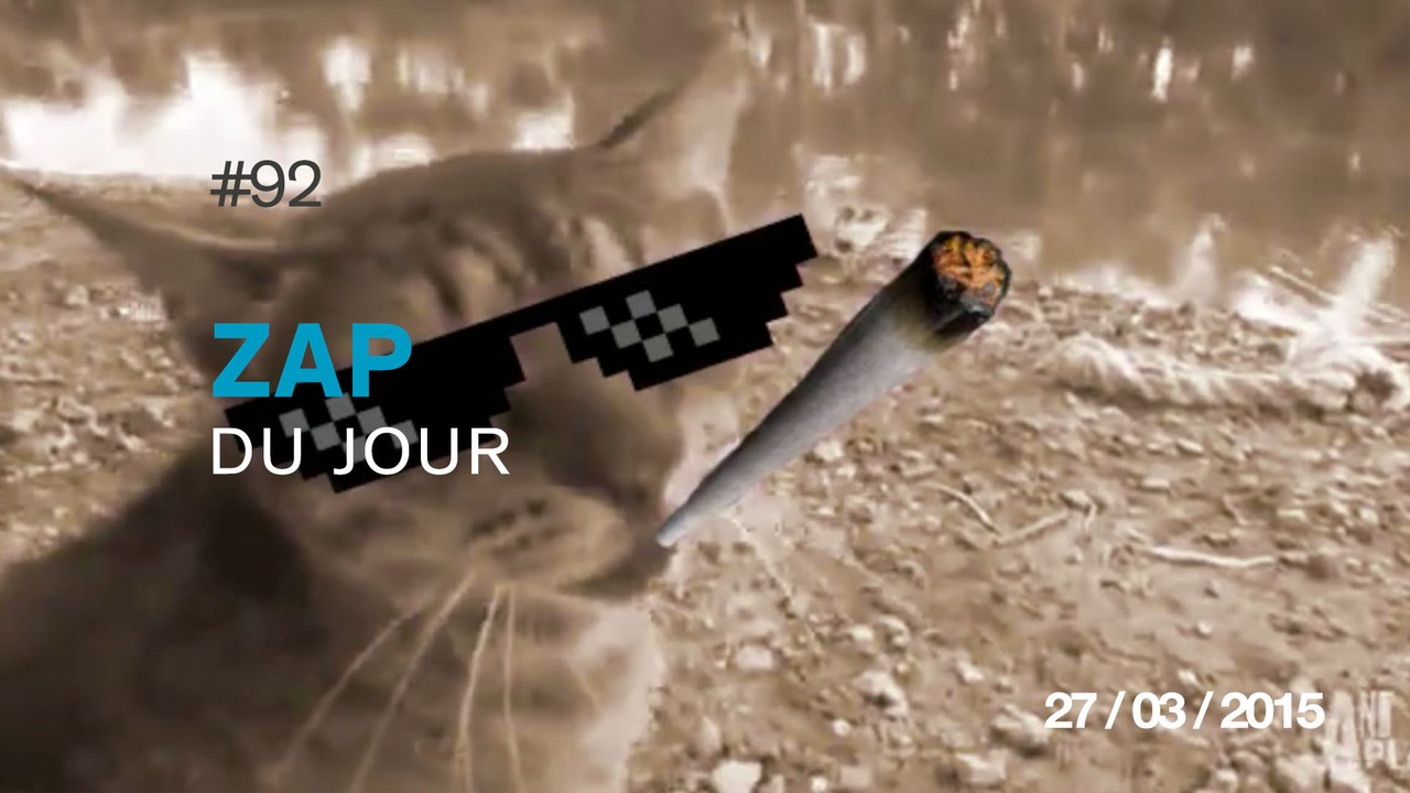 ZAP DU JOUR #92 : Pire pompier de l'histoire / Frontflip Fail / Chat Thug life / Quand tu as bu un verre de trop /
