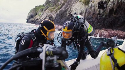 La bande-annonce du documentaire "Les requins de la colère"