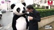 Le super défi Jordan De Luxe : Le panda.