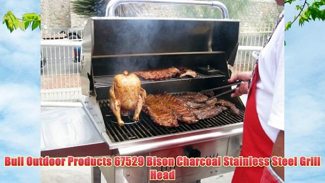 Bull Outdoor Products 67529 Bison Charcoal Stainless Steel Grill Head