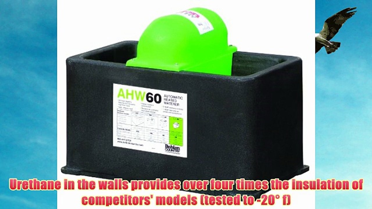 Behlen Country AHW60 Insulated Calf Sheep or Horse Waterer with Heat
