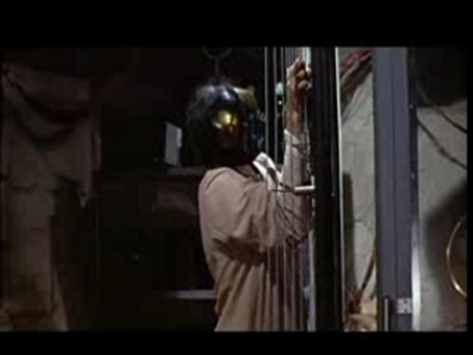 La mouche noire; The Fly