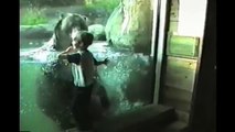 Most Amazing Videos of Kids Playing With Animals in Zoo