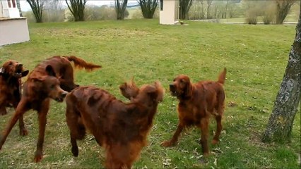 les filles s'éclatent