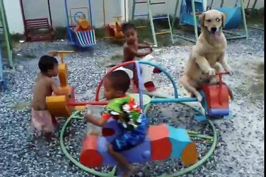 Un chien assis sur un manège avec des enfants