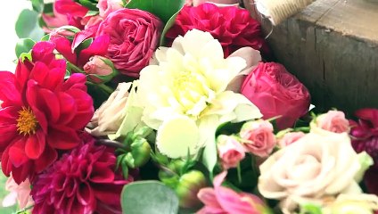 Ed Sheeran Surprises Deserving Wedding Couple!