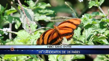 Costa Rica vuelve a brillar internacionalmente por cuidado del medio ambiente