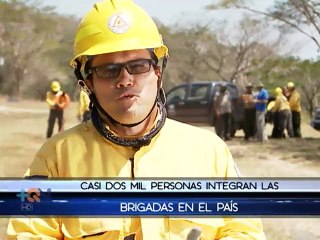 Trabajo de funcionarios en Palo Verde permitió reducir porcentaje de incendios forestales