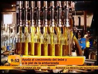 Receta: Pasta de pollo y camarón al pesto