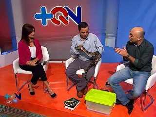 Entrevista: Mitos fomentan el miedo a las serpientes