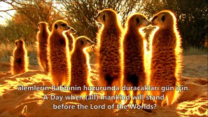 83- Mutaffifîn Sûresi / The Defrauders ( Ahmet el Acemi) HD