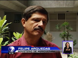 El Niño afectará agricultura y ganadería el resto del año, afirman expertos