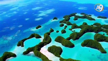 2015 yılının en büyük keşfi!