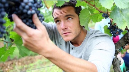 Intervista Dardanello finale