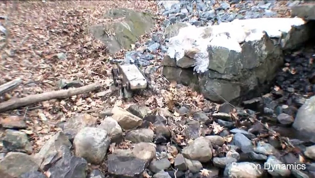 RHex Rough-Terrain Robot