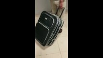 Que coragem! Mulher tenta viajar dentro de uma mala!