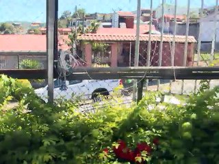 “Chilichurros” se convirtieron en la sensación de los turnos en San Ramón