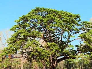 Tierra Adentro: Paraíso escondido en el Pacífico Central