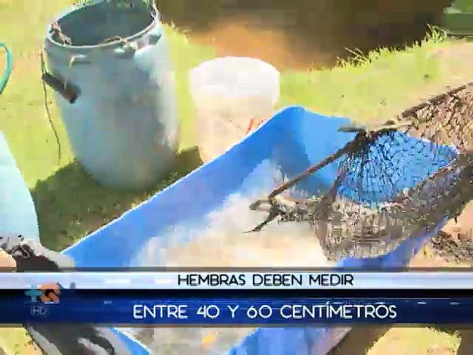 En Tierra Hostil Corea Del Norte Dailymotion